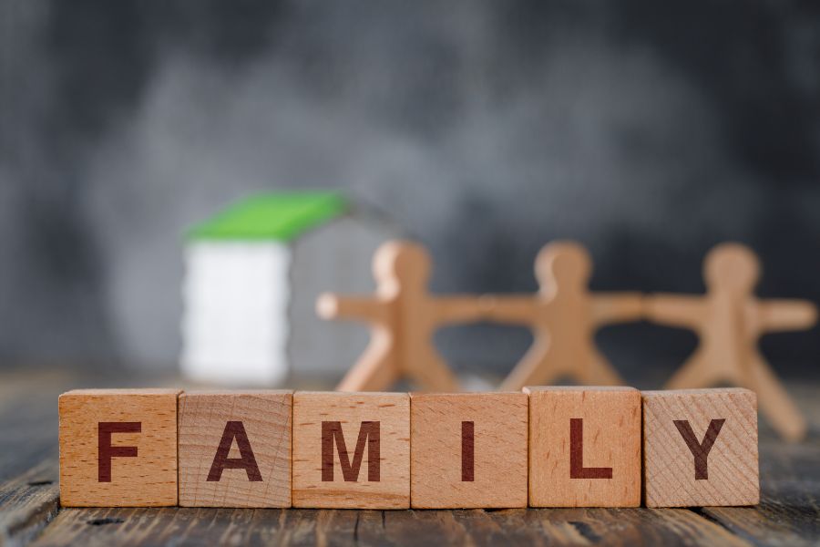 Specializations in family Legislation